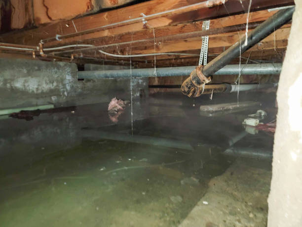 Local water damage restoration in Cottondale, AL