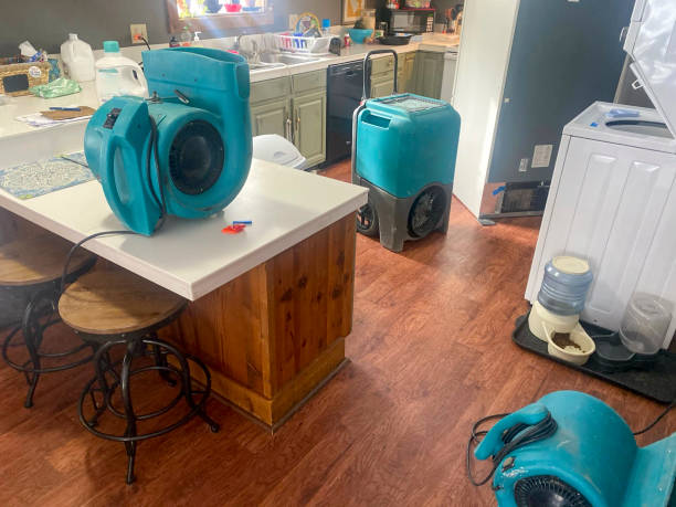 Best 24-hour water damage restoration  in Cottonde, AL