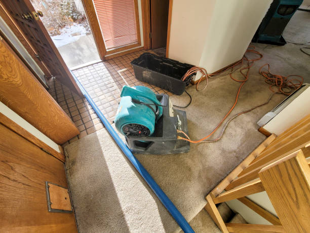 Best Water damage restoration near me  in Cottonde, AL
