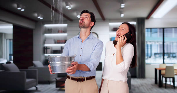 Water damage restoration insurance claims in Cottondale, AL