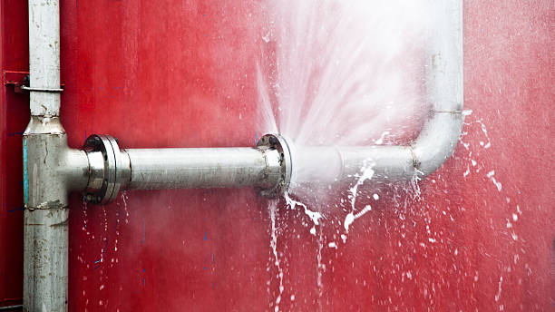 Best Flooded house restoration  in Cottonde, AL
